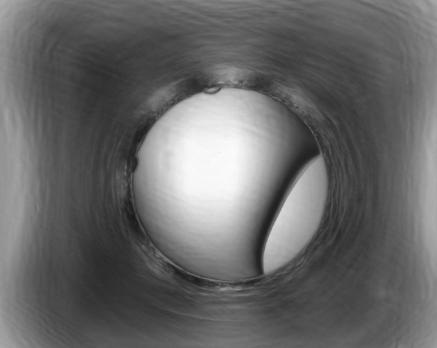 X0000087570413200704270947