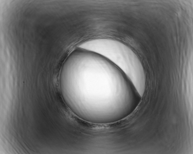 X0000087570415200704270947