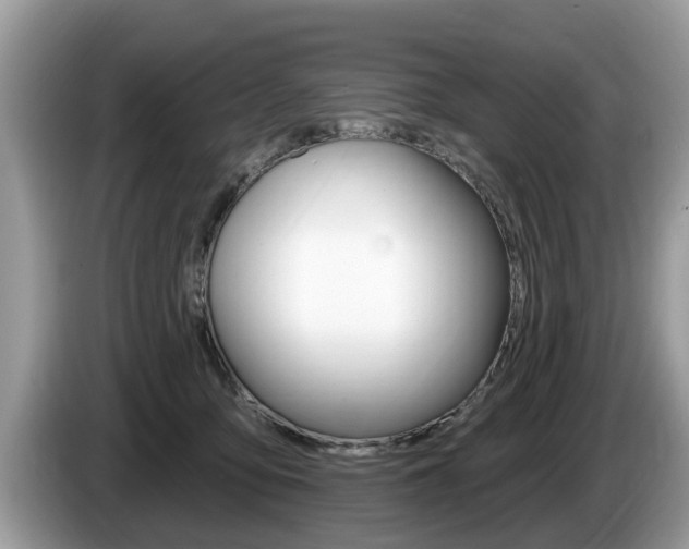 X0000087570419200704270947