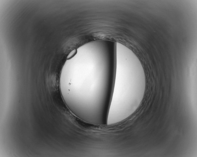 X0000087570420200704270947