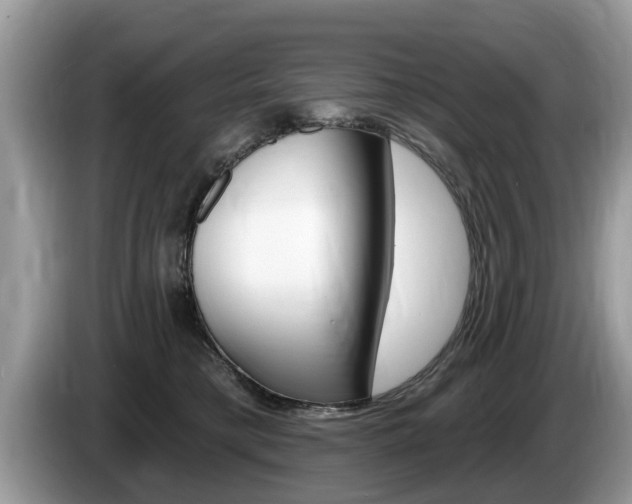 X0000087570421200704270947