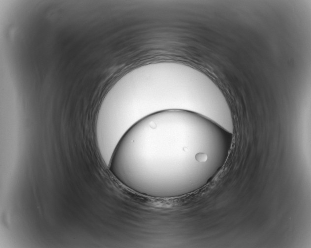 X0000087570423200704270947