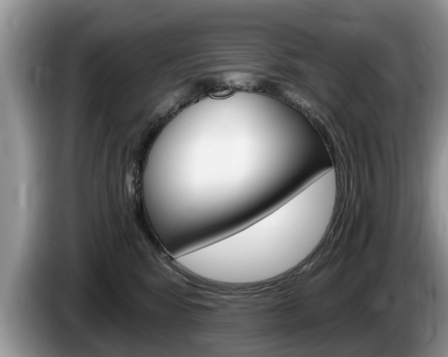 X0000087570424200704270947