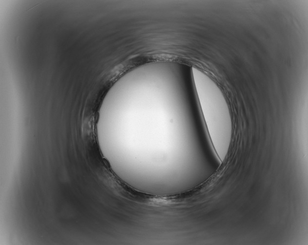 X0000087570425200704270947