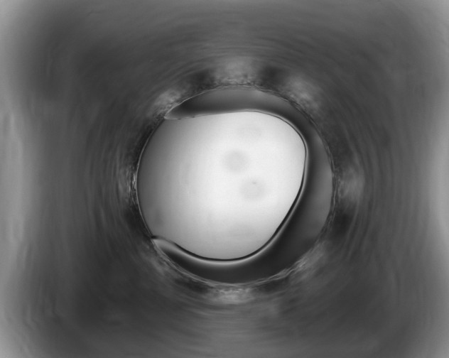X0000087570429200704270947