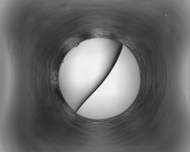 X0000087570430200704270947