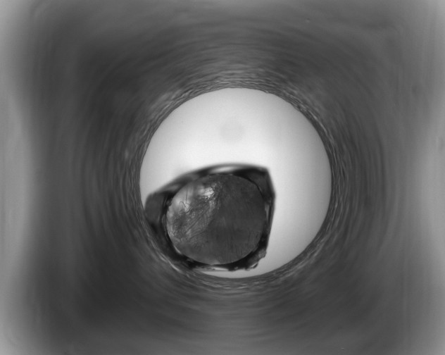 X0000087570432200704270947