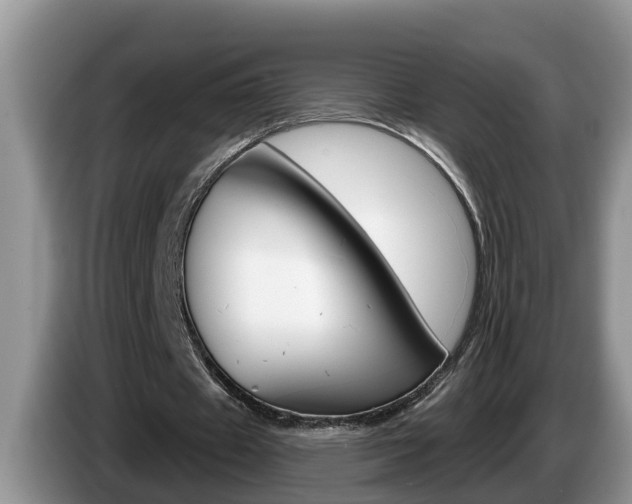 X0000087570433200704270946