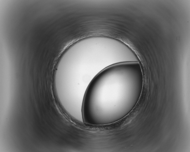 X0000087570434200704270946