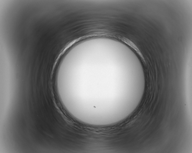 X0000087570436200704270946