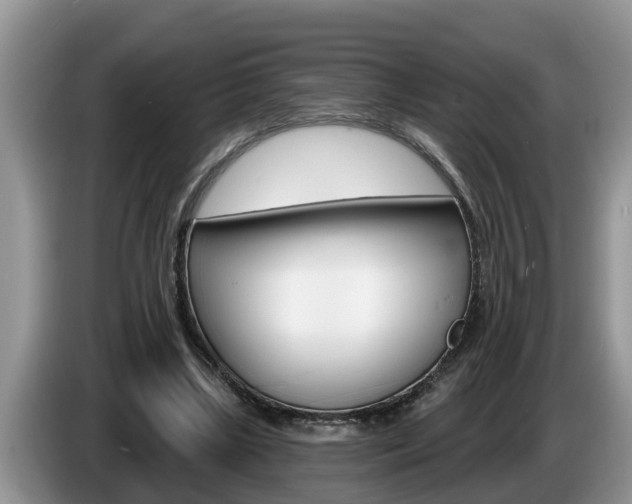 X0000087570443200704270946