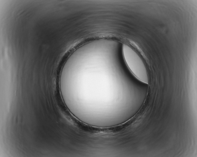 X0000087570447200704270946
