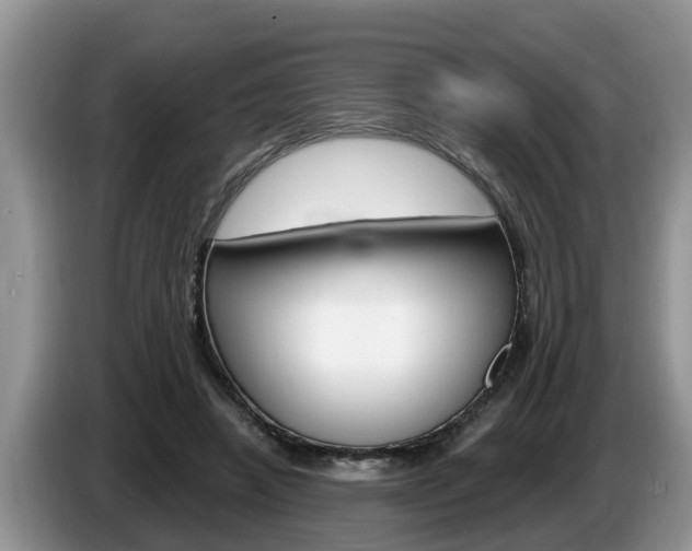 X0000087570450200704270946