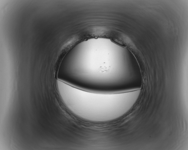 X0000087570454200704270946