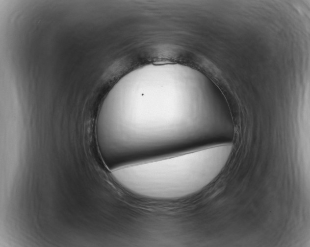 X0000087570462200704270946