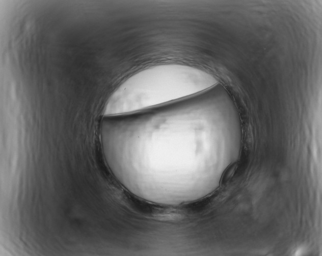 X0000087570463200704270946