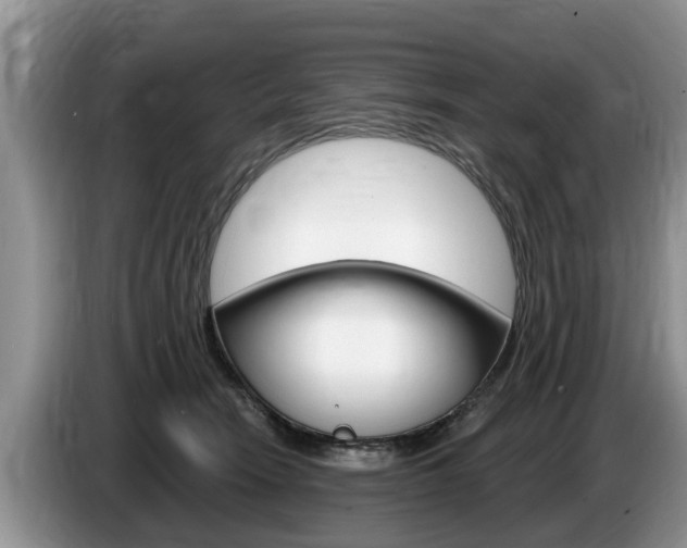 X0000087570466200704270946