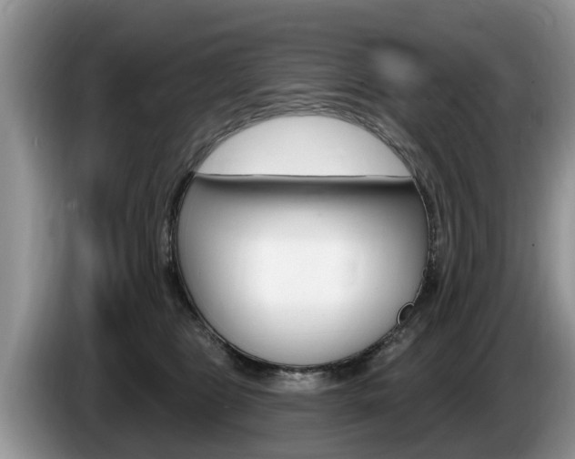 X0000087570469200704270947