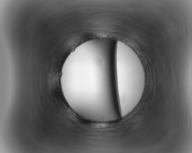 X0000087570473200704270947