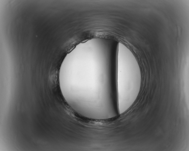 X0000087570475200704270947