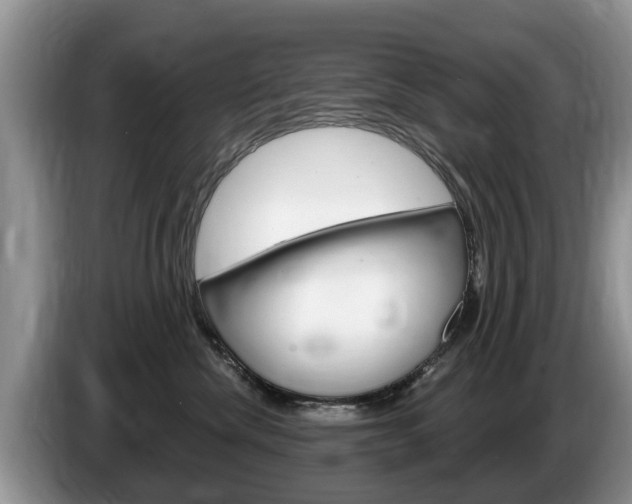 X0000087570476200704270947