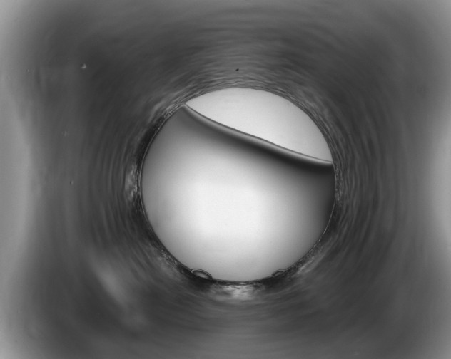 X0000087570478200704270947