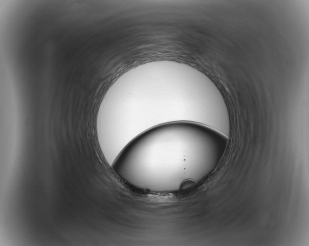 X0000087570480200704270947