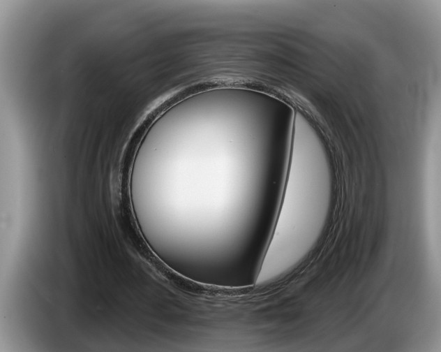 X0000087570484200704270946