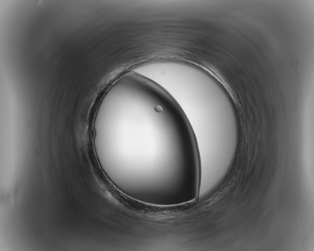 X0000087570485200704270946