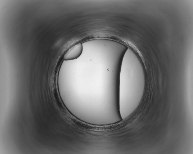 X0000087570487200704270946