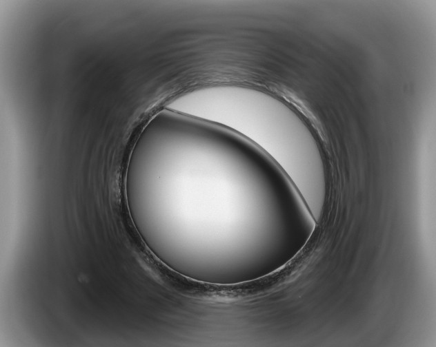 X0000087570489200704270946