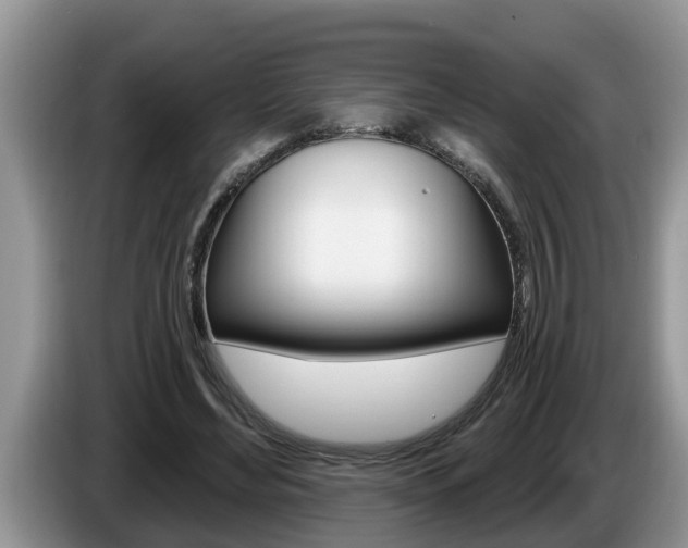 X0000087570492200704270946