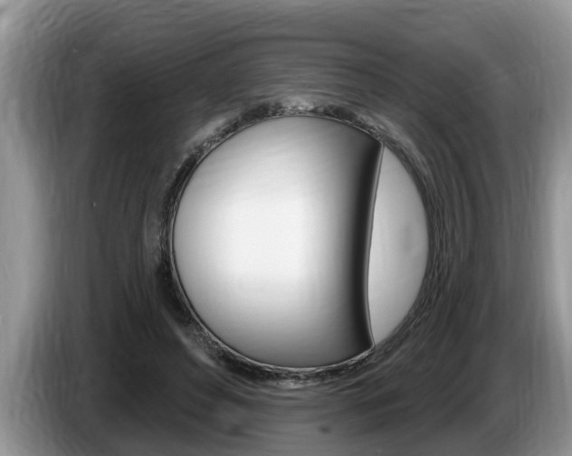 X0000087570496200704270946