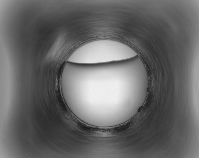 X0000087570502200704270946