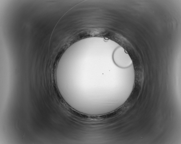 X0000087570510200704270946