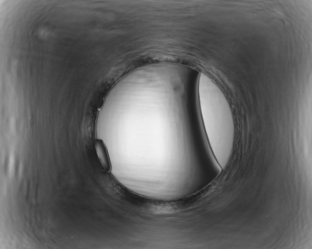 X0000087570513200704270946
