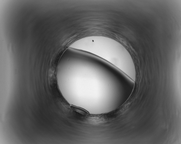 X0000087570521200704270946