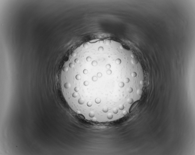 X0000087570523200704270946