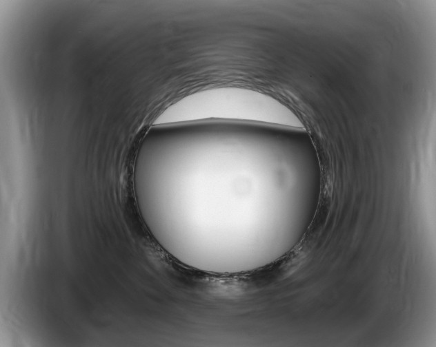 X0000087570524200704270946
