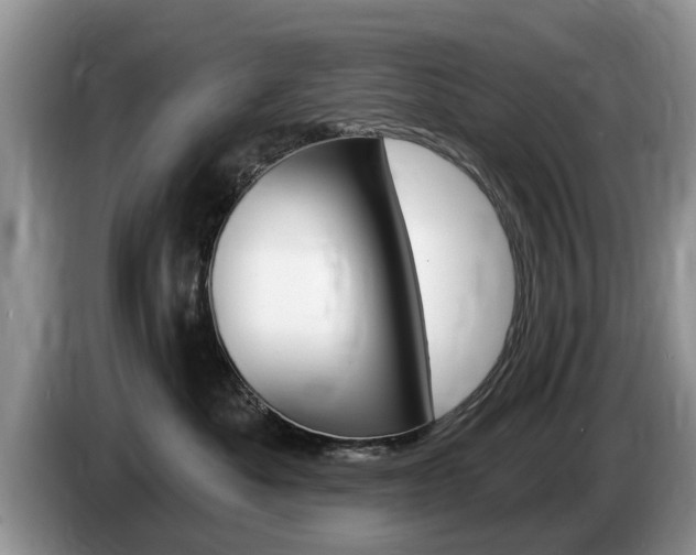 X0000087570525200704270946