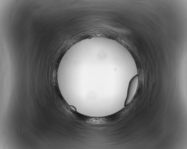 X0000087570526200704270946