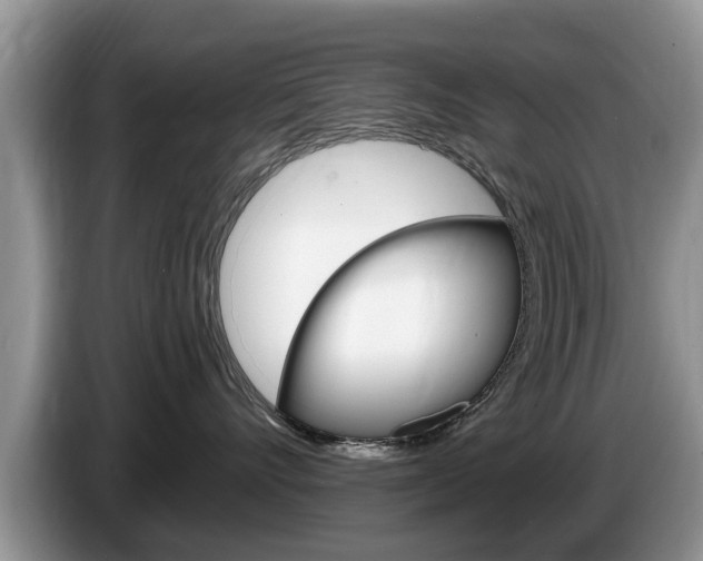 X0000087570528200704270946