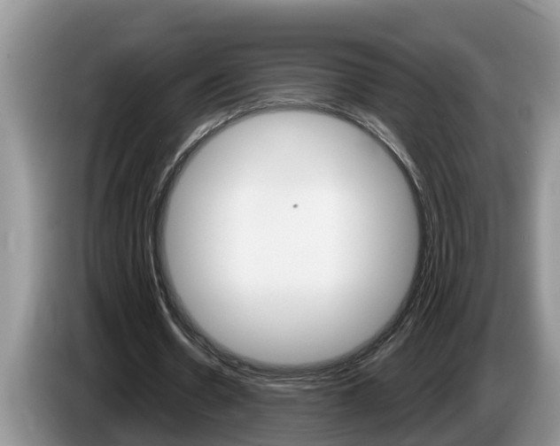X0000087570530200704270945