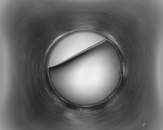 X0000087570531200704270945