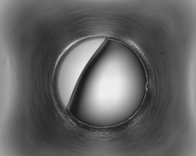 X0000087570532200704270945