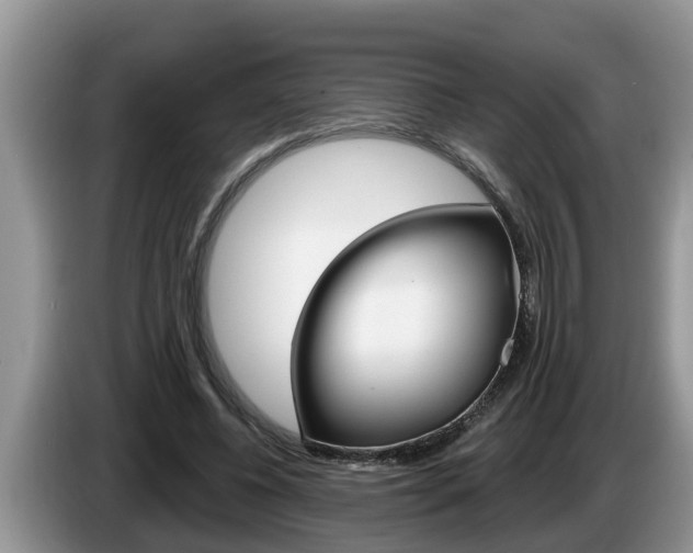 X0000087570540200704270945