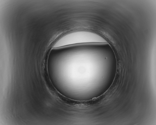 X0000087570544200704270945
