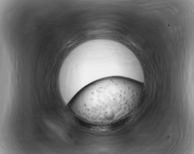 X0000087570554200704270945