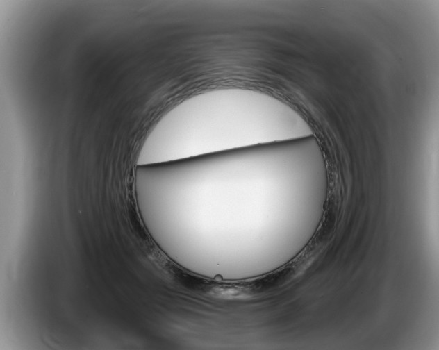 X0000087570557200704270945