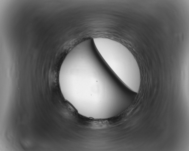 X0000087570571200704270945